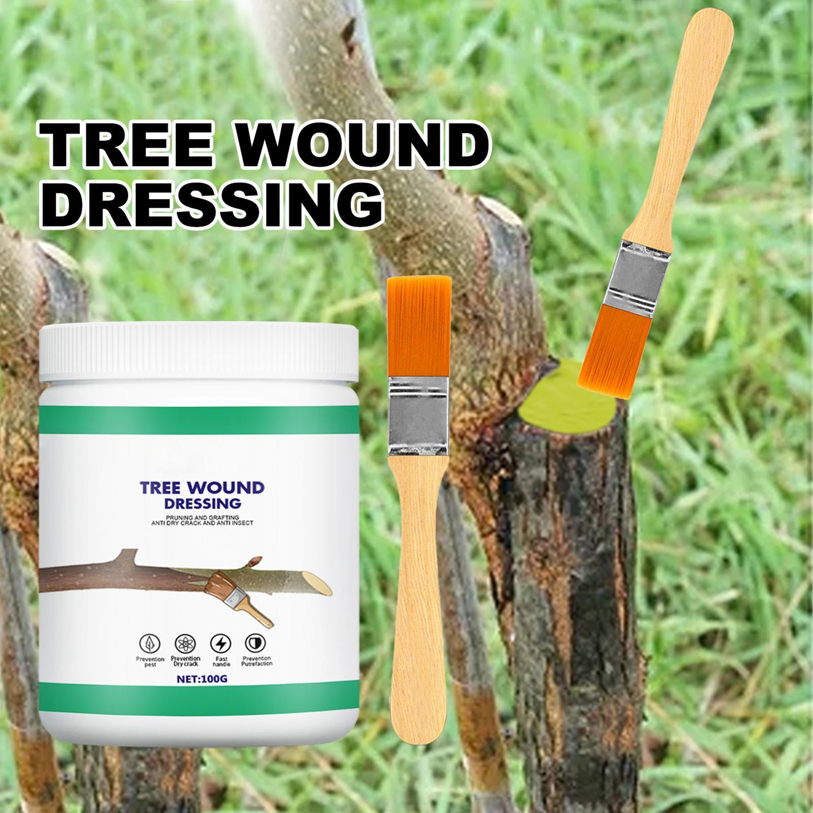 Paint Brush - Beschneidungsversiegelung 100g Schutzpaste mit Pinsel Pflanzenschutzpaste
